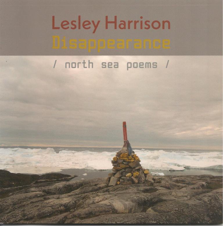 Shearsman 'Disappearance' cover 001